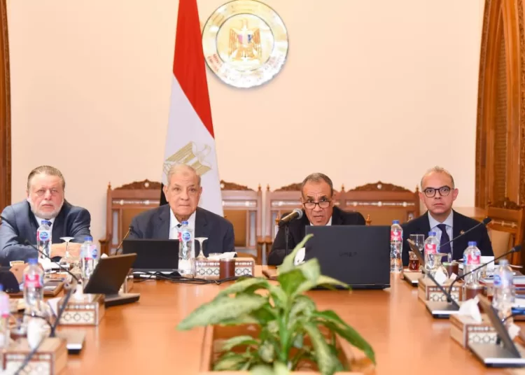 FM launches EAPD board to boost Africa's development 11 - Egyptian Gazette