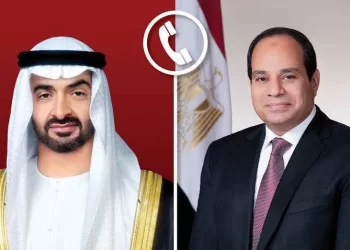 Egypt voices solidarity with UAE after Iranian strikes