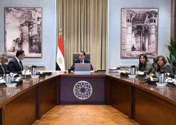 PM reviews private sector role in social housing initiative