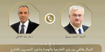 Egyptian, Ukrainian FMs discuss bilateral ties, Ukraine crisis