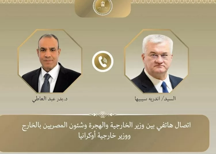 Egyptian, Ukrainian FMs discuss bilateral ties, Ukraine crisis 1 - Egyptian Gazette