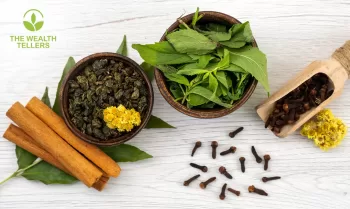 Wealth Tellers: Building on a 30-Year Legacy in Global Trade 10 - Egyptian Gazette Wealth-Tellers