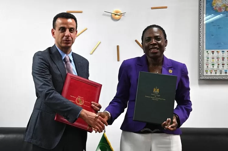 Egypt to host 14th African Games 10 - Egyptian Gazette
