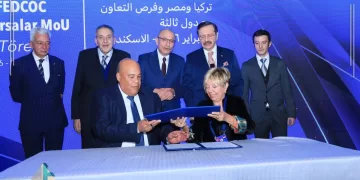 Cairo, Ankara explore economic, investment co-operation