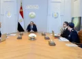 Sisi calls for bolstering strategic reserves, achieving agricultural self-sufficiency
