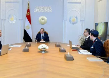 Sisi calls for bolstering strategic reserves, achieving agricultural self-sufficiency