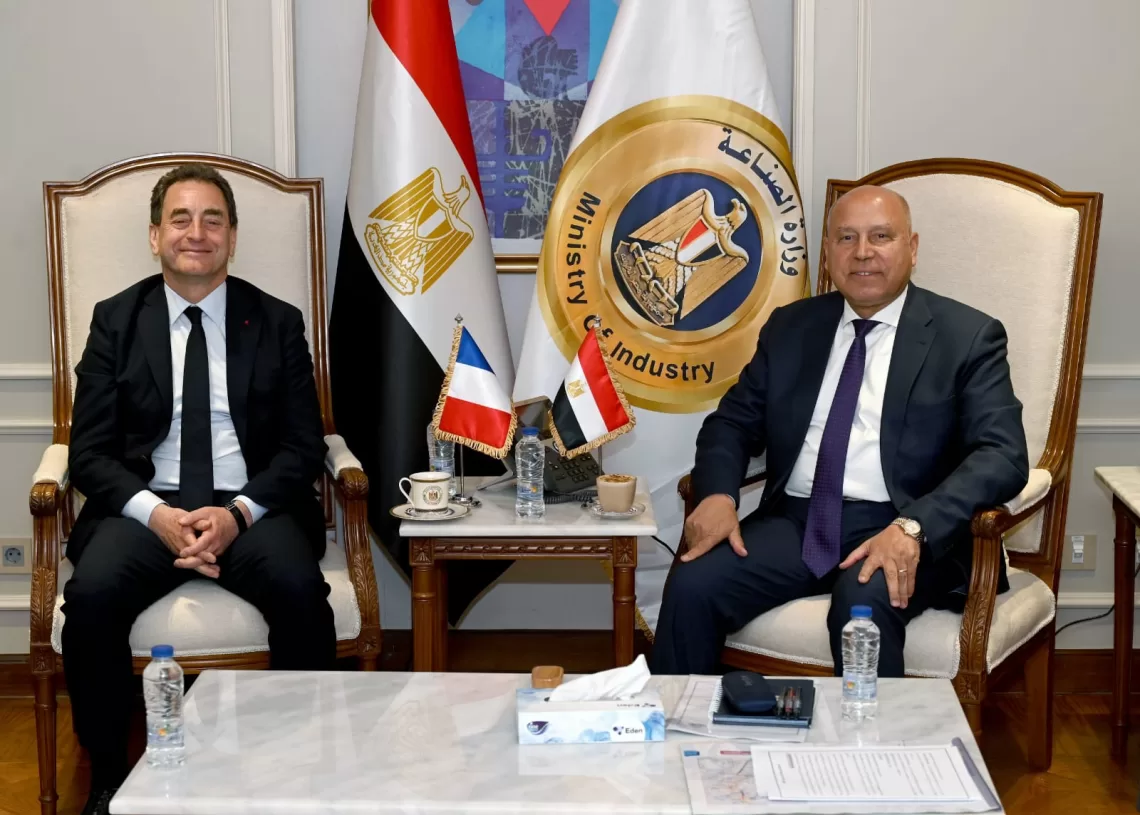 Egypt, France review progress of joint transport projects 1 - Egyptian Gazette