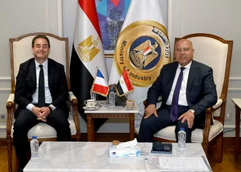 Egypt, France review progress of joint transport projects
