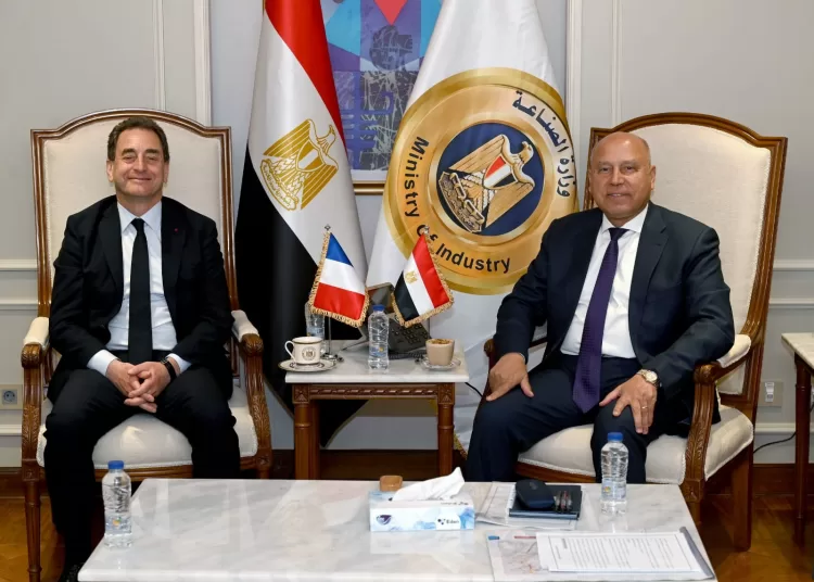 Egypt, France review progress of joint transport projects 11 - Egyptian Gazette