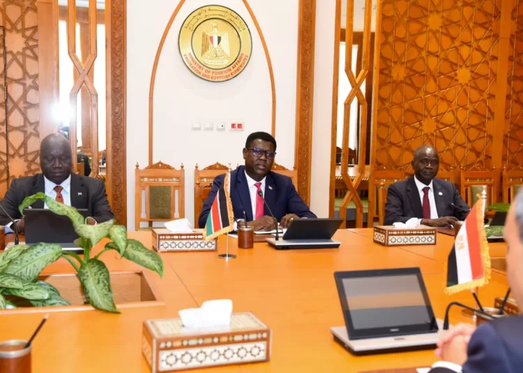 FM affirms Egypt’s full support for efforts to achieve security, stability in South Sudan 11 - Egyptian Gazette South Sudan
