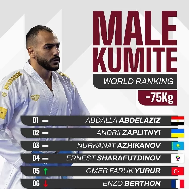 Egypt tops world karate rankings 3 - Egyptian Gazette