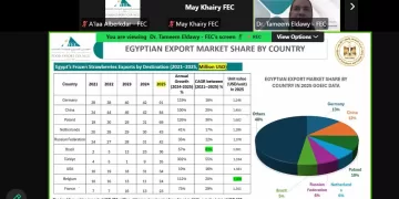Egypt ranked world’s top exporter of frozen strawberry, shipments in 2025