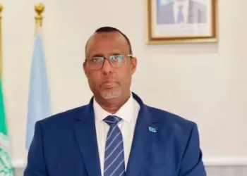 Somali Ambassador hails visit of his country’s president to Egypt