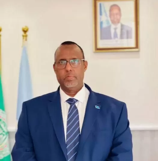 Somali Ambassador hails visit of his country's president to Egypt 1 - Egyptian Gazette