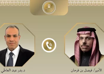 Egyptian, Saudi FMs stress political solutions to end regional crises