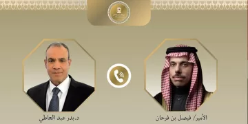 Egyptian, Saudi FMs stress political solutions to end regional crises