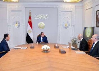 Sisi orders integration of AI, digital literacy into Egyptian schools