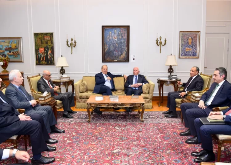 FM affirms need to preserve unity of Palestinian territory 1 - Egyptian Gazette
