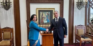 Egypt, India hold 14th round of political consultations 1 - Egyptian Gazette India
