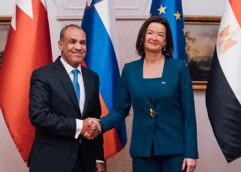 FM affirms Egypt’s firm stance on Palestinian cause