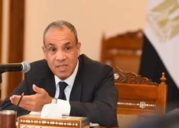 Egypt, UAE FMs underline need to push 2nd phase of Trump plan on Gaza