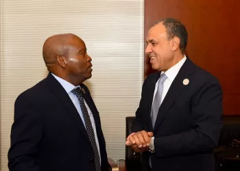 ‘Strengthening coordination key to achieving food security in Africa’