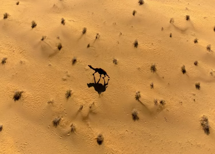 Why Iran’s threats against ME desalination plants could turn water into next battleground 1 - Egyptian Gazette