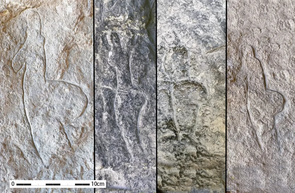 ⁠Ice Age engravings discovered in Sinai 3 - Egyptian Gazette