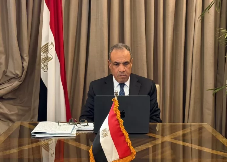 Egypt’s Foreign Minister Badr Abdel-Aati