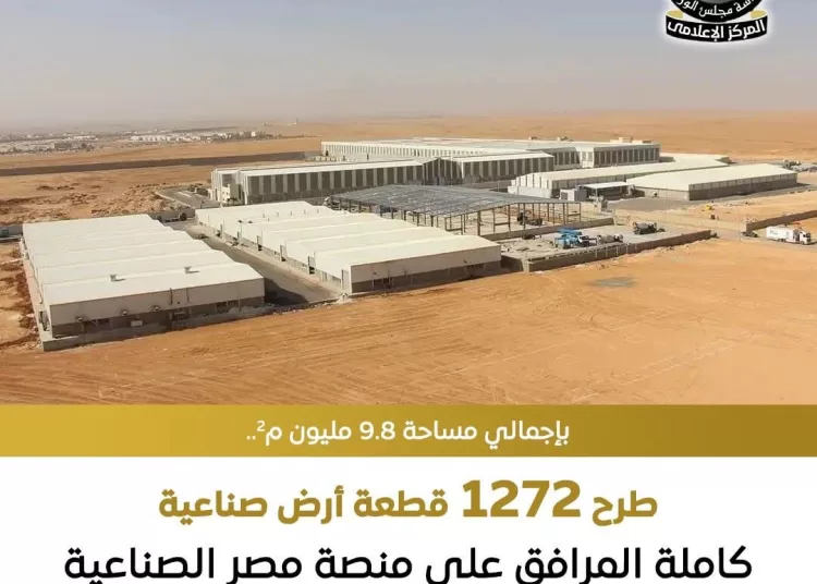 1,272 fully-serviced industrial plots targets investors nationwide 1 - Egyptian Gazette