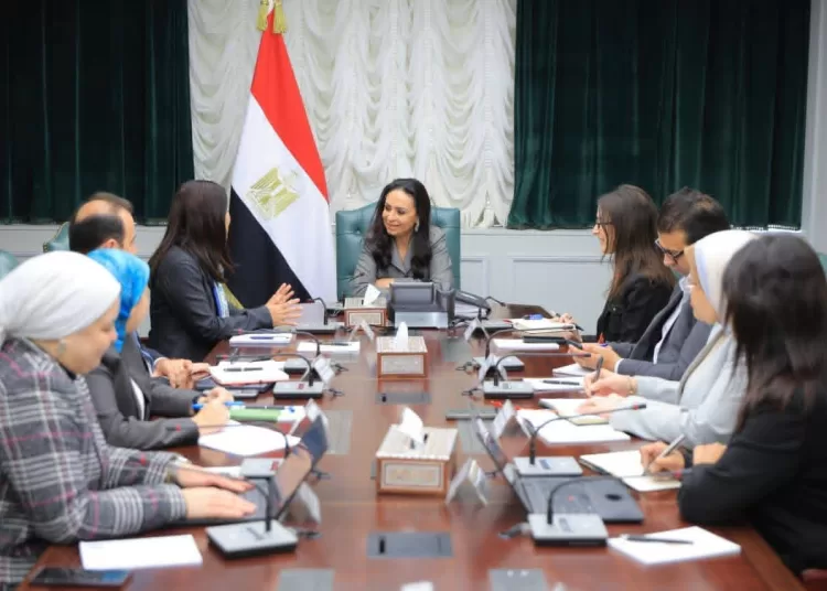 Cairo seeks deeper UNDP links on development, social protection 1 - Egyptian Gazette