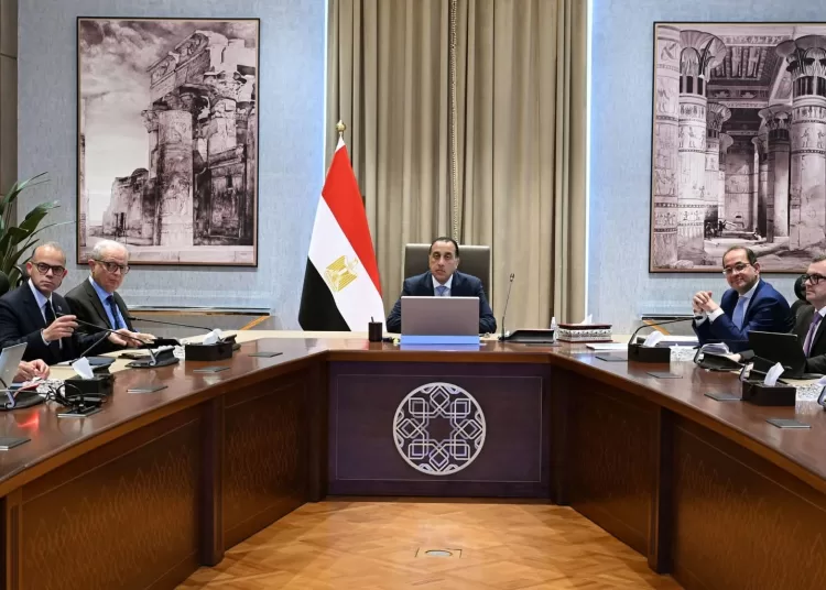 Gov't unveils plan to restructure state-owned entities 1 - Egyptian Gazette