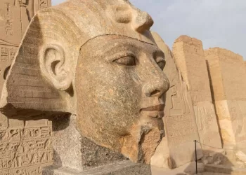 Granite statue head of King Ramses II restored at Abydos Temple
