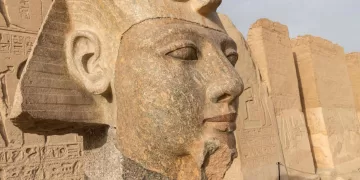 Granite statue head of King Ramses II restored at Abydos Temple