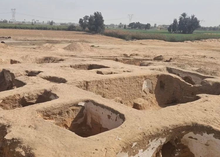 5th-century monastic guesthouse unearthed in Beheira 12 - Egyptian Gazette