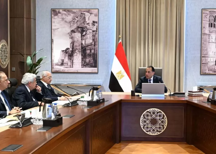 Advisory cmte calls for transparency, public communication on regional challenges 13 - Egyptian Gazette Advisory cmte calls for transparency, public communication on regional challenges 12 - Egyptian Gazette