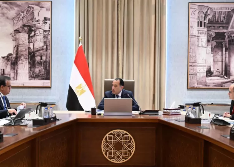 PM reviews nat'l pharmaceutical supply, strategic drug stocks 1 - Egyptian Gazette