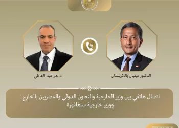 Egypt, Singapore FMs discuss ties, regional developments
