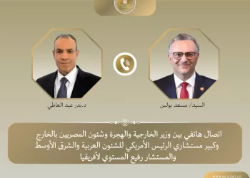 Egypt FM, US envoy discuss key regional issues