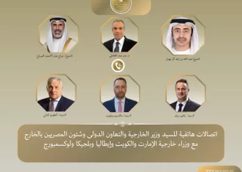 Egypt’s FM discusses de-escalation with regional, European counterparts