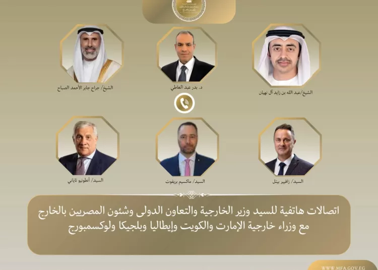 Egypt's FM discusses de-escalation with regional, European counterparts 1 - Egyptian Gazette