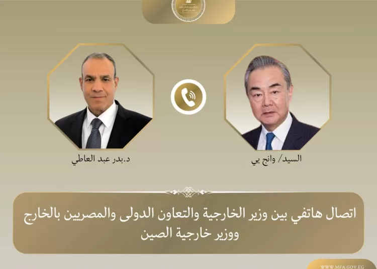 Egypt, China FMs discuss ties, regional tensions 1 - Egyptian Gazette