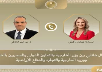 Cairo, Dublin call for de-escalation and political solutions