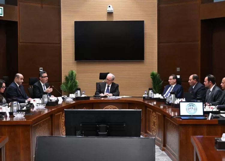 Gov’t steps up efforts to ensure stable supply of basic goods 1 - Egyptian Gazette