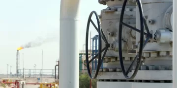 Oil