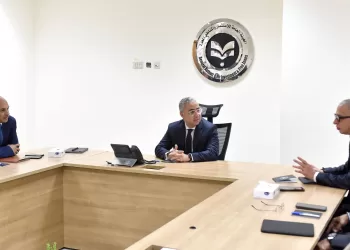 Bid to establish Egypt’s 1st private investment zone