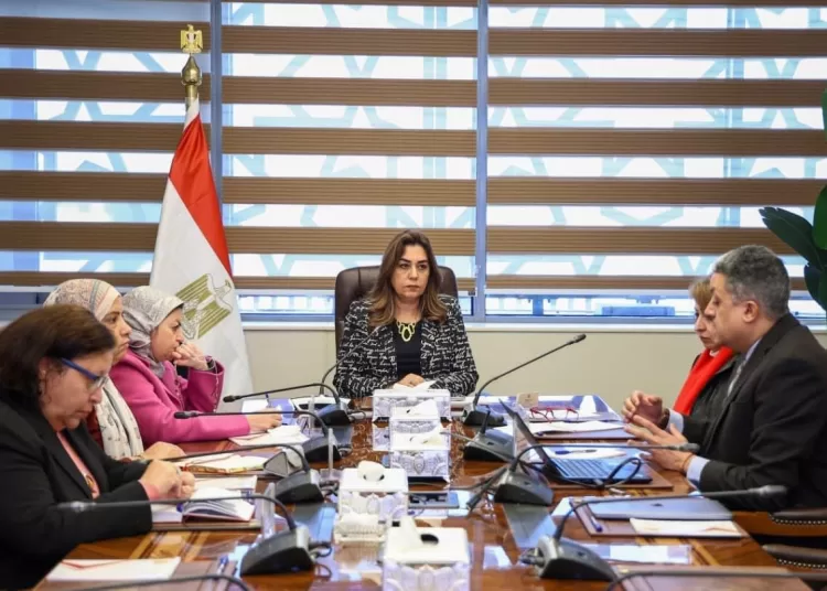 Progress of local development ministry’s technical support project reviewed 1 - Egyptian Gazette