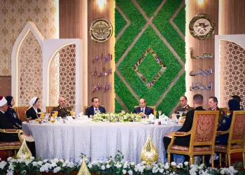 Egypt exerts sincere mediation efforts to end conflict