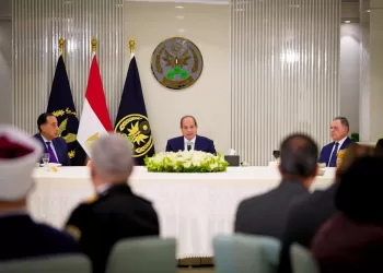 Sisi: Unity, forward-looking decisions essential for safe passage through current crisis