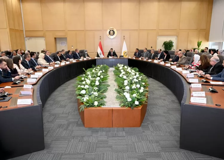 Industry ministry reviews progress on new national strategy 1 - Egyptian Gazette